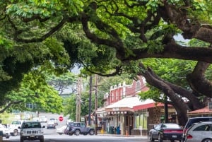 Tour di un giorno a Kauai: Kalalau, Waimea, Poipu, crociera o trasferimento dall'aeroporto