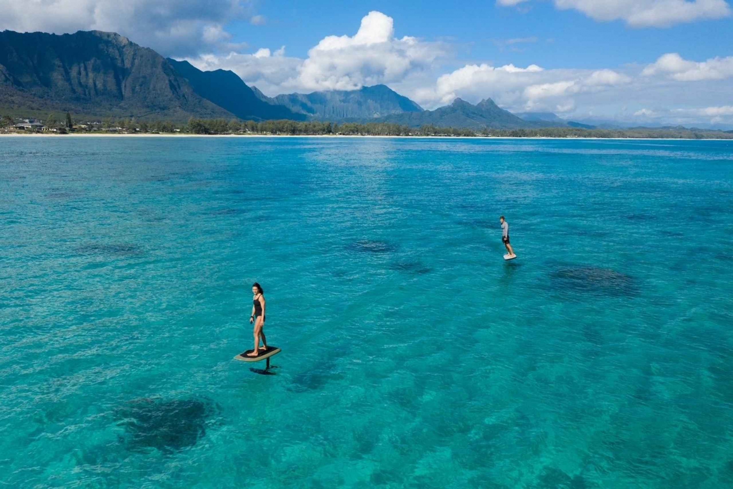 Kauai: Lezione di E-Foil