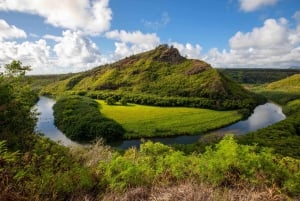 Kauai East Side och North Shore: Tur till vattenfall och stränder