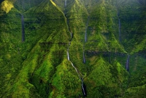 Kauai : Eco Adventure Helicopter Tour