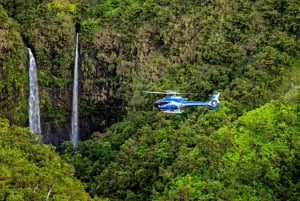 Kauai : Eco Adventure Helicopter Tour