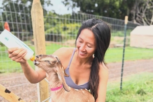 Kauai Farm: Leg med og giv flaskemad til nubiske babyged!