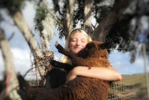 Kauai Farm: Leg med og giv flaskemad til nubiske babyged!