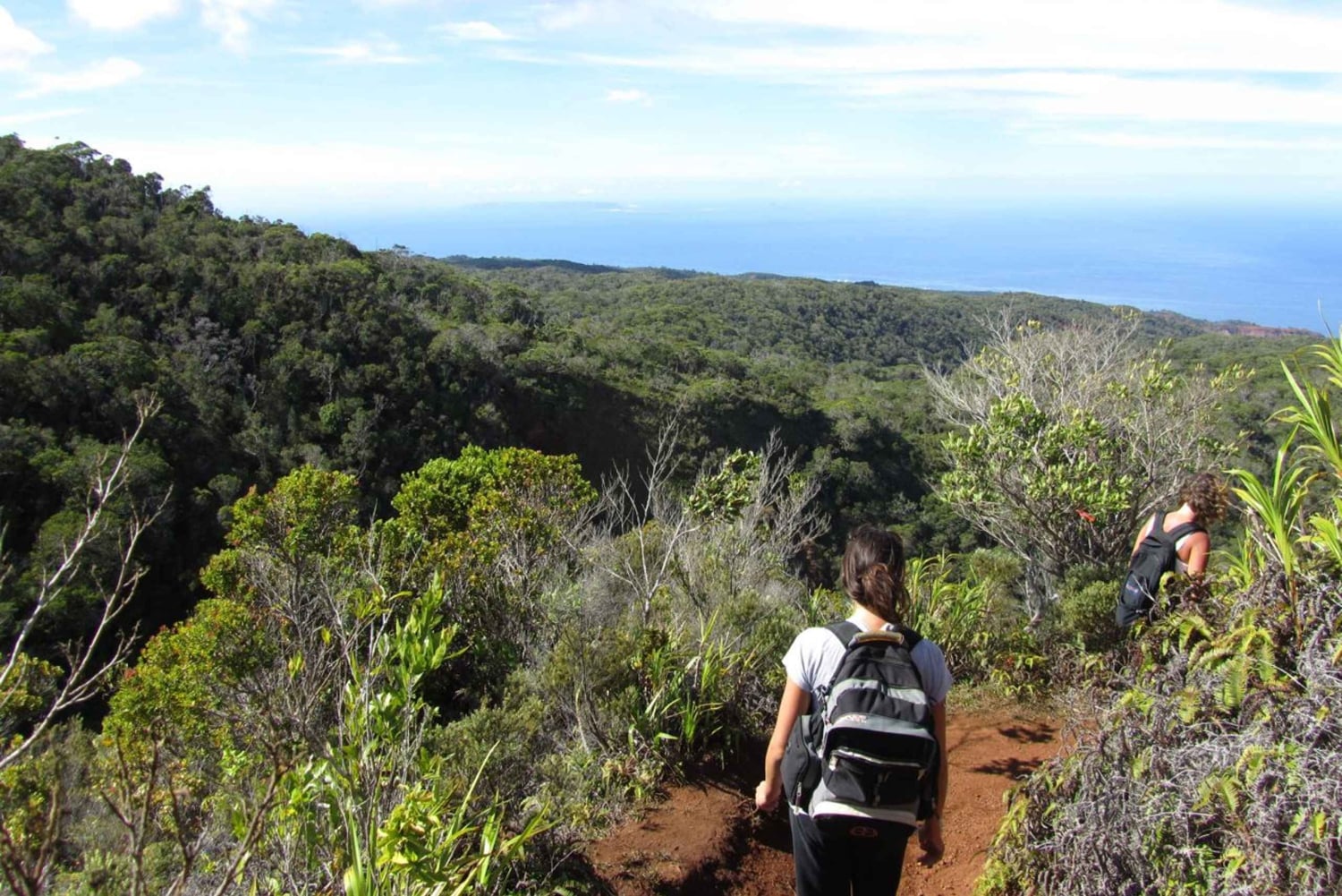 Kauai: Heldags eventyr på Kauaʻi