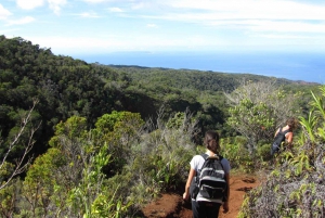 Kauai: Full-Day Kauaʻi Adventure