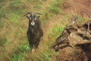 Kauai: Full-Day Kauaʻi Adventure