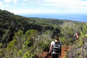 Kauai: Ganztägiges Kauaʻi-Abenteuer