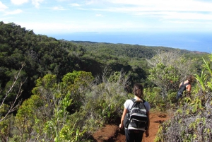 Kauai: Heldags eventyr på Kauaʻi