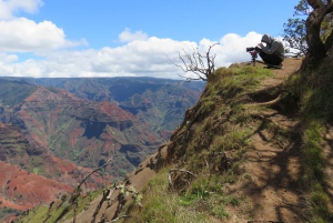 Kauai: Heldags eventyr på Kauaʻi