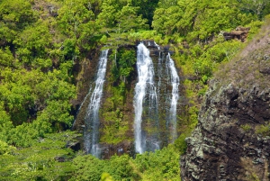 Kauai: Full-Day Tour with Fern Grotto River Cruise