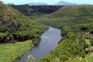 Kauai: Heldagstur med flodkryssning i Fern Grotto