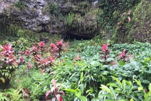 Kauai: Kokopäiväretki Fern Grotto -jokiristeilyllä