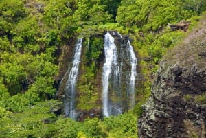 Kauai: Heldagstur med flodkryssning i Fern Grotto