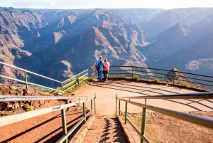 Kauai: Full-Day Waimea Canyon & Wailua River Tour