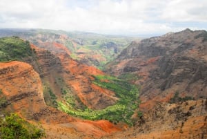 Kauai: Tour di un giorno intero del Waimea Canyon e del fiume Wailua