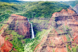 Kauai: Całodniowa wycieczka do kanionu Waimea i rzeki Wailua