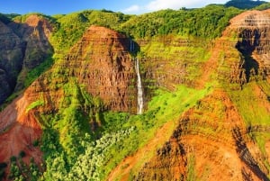 Kauai: Heldagstur i Waimea Canyon og Wailua-elven