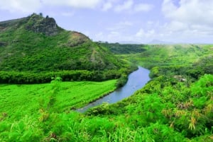 Kauai: Całodniowa wycieczka do kanionu Waimea i rzeki Wailua
