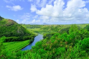 Kauai: Excursão de dia inteiro ao Waimea Canyon e ao rio Wailua