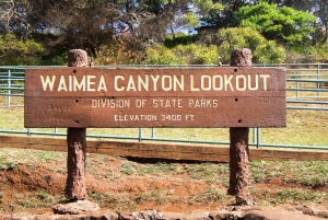 Kauai: Waimea Canyon & Wailua River Retki