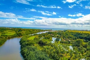 Kauai: Waimea Canyon & Wailua River Retki