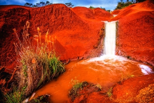 Kauai: Waimea Canyon & Wailua River Retki