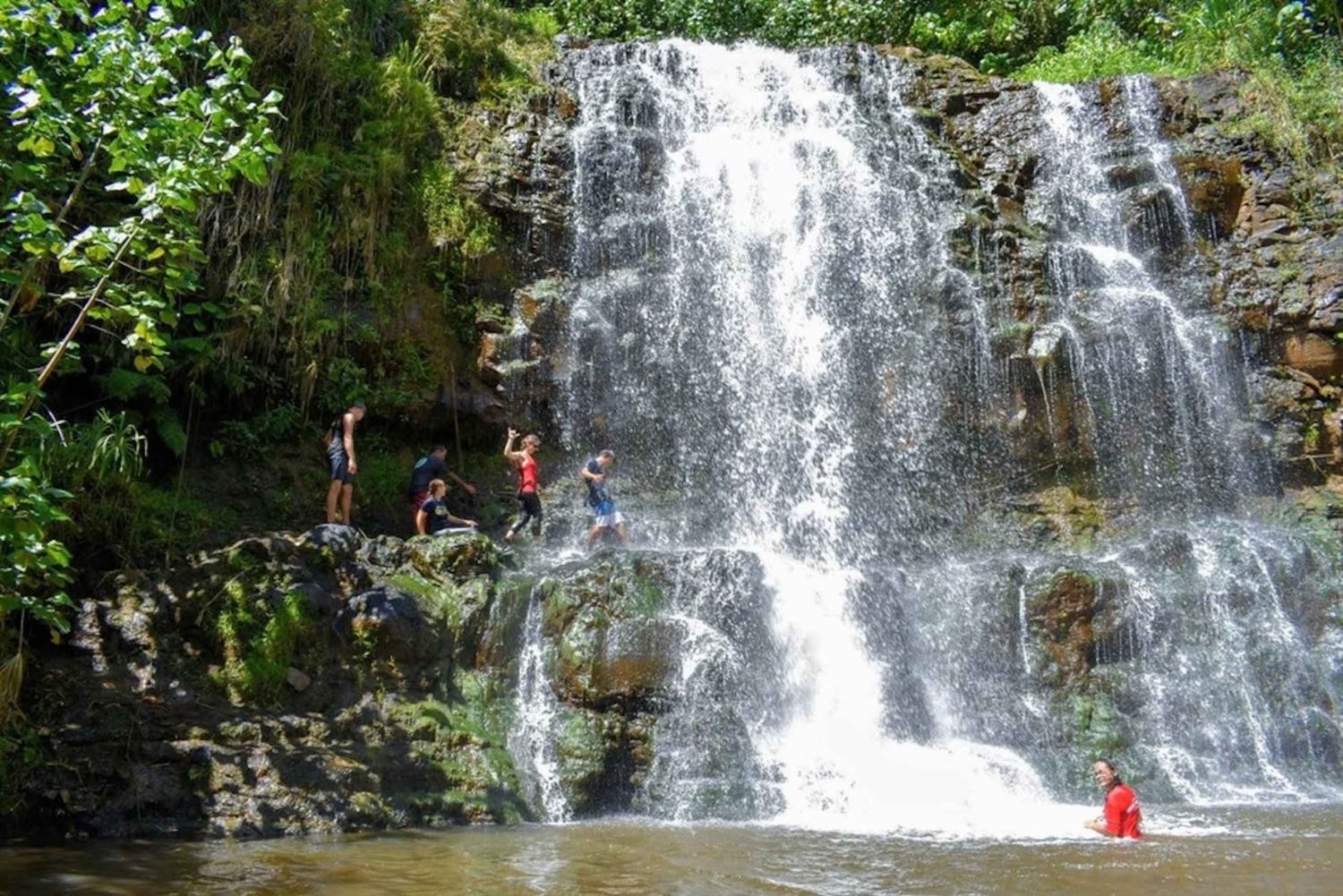 Kauai: begeleide wandeling en watervalzwemmen