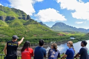 Kauai: begeleide wandeling en watervalzwemmen
