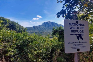 Kauai: Guided Hike and Waterfall Swim