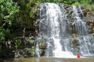 Kauai: begeleide wandeling en watervalzwemmen