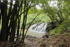 Kauai: begeleide wandeling en watervalzwemmen