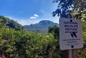 Kauai: begeleide wandeling en watervalzwemmen