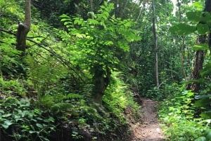 Kauai: begeleide wandeling en watervalzwemmen
