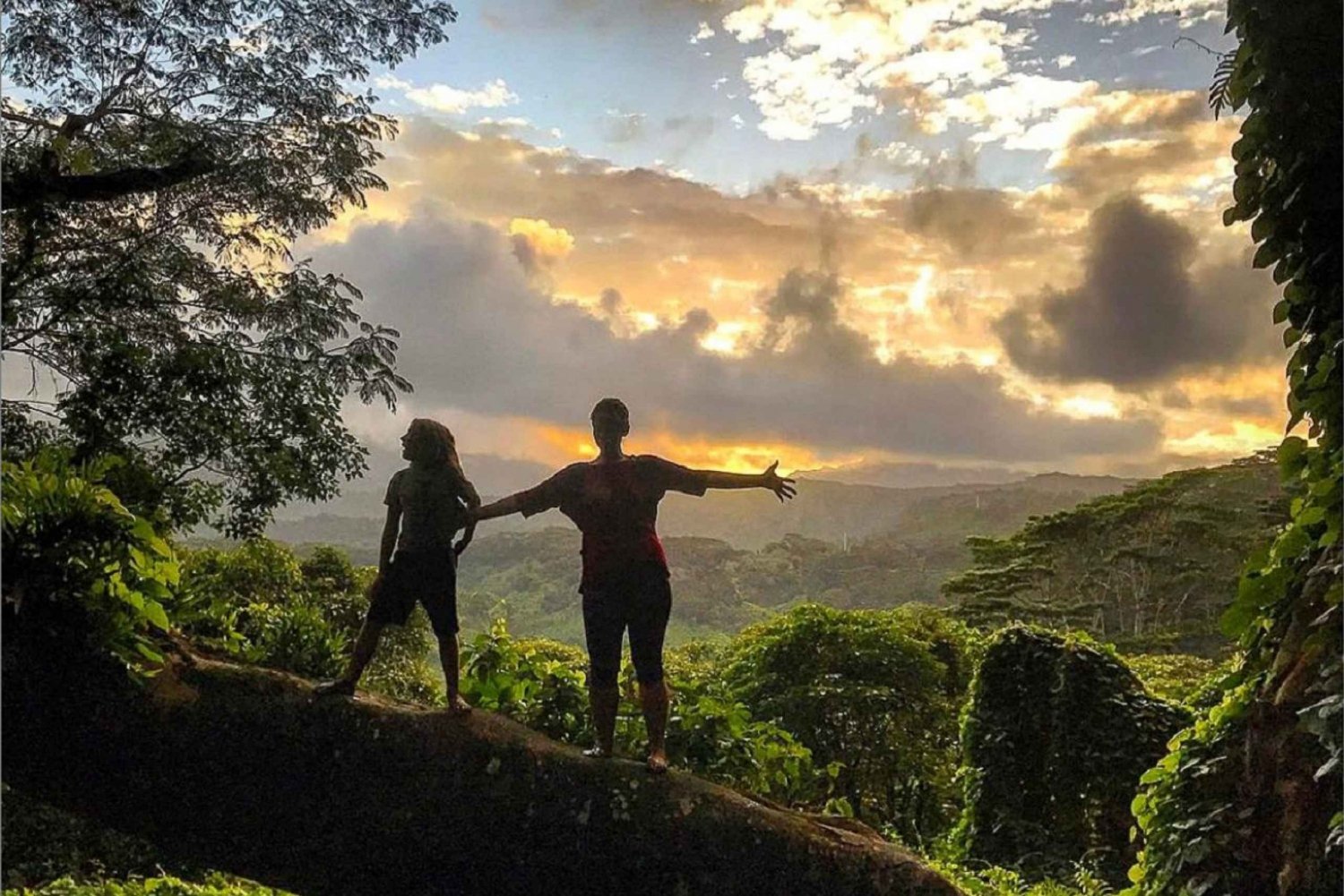 Kauai : Demi-journée d'aventure à Kauaʻi