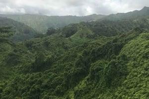 Kauai: Puolipäiväinen Kauaʻi-seikkailu