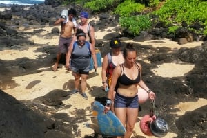 Kauai: Halvdags Kauaʻi-eventyr