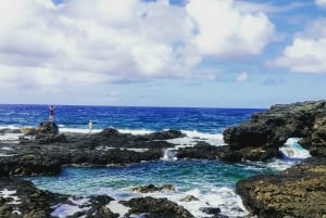 Kauai: Halvdags Kauaʻi-eventyr