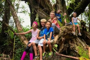 Kauai: avventura Kaua'i di mezza giornata