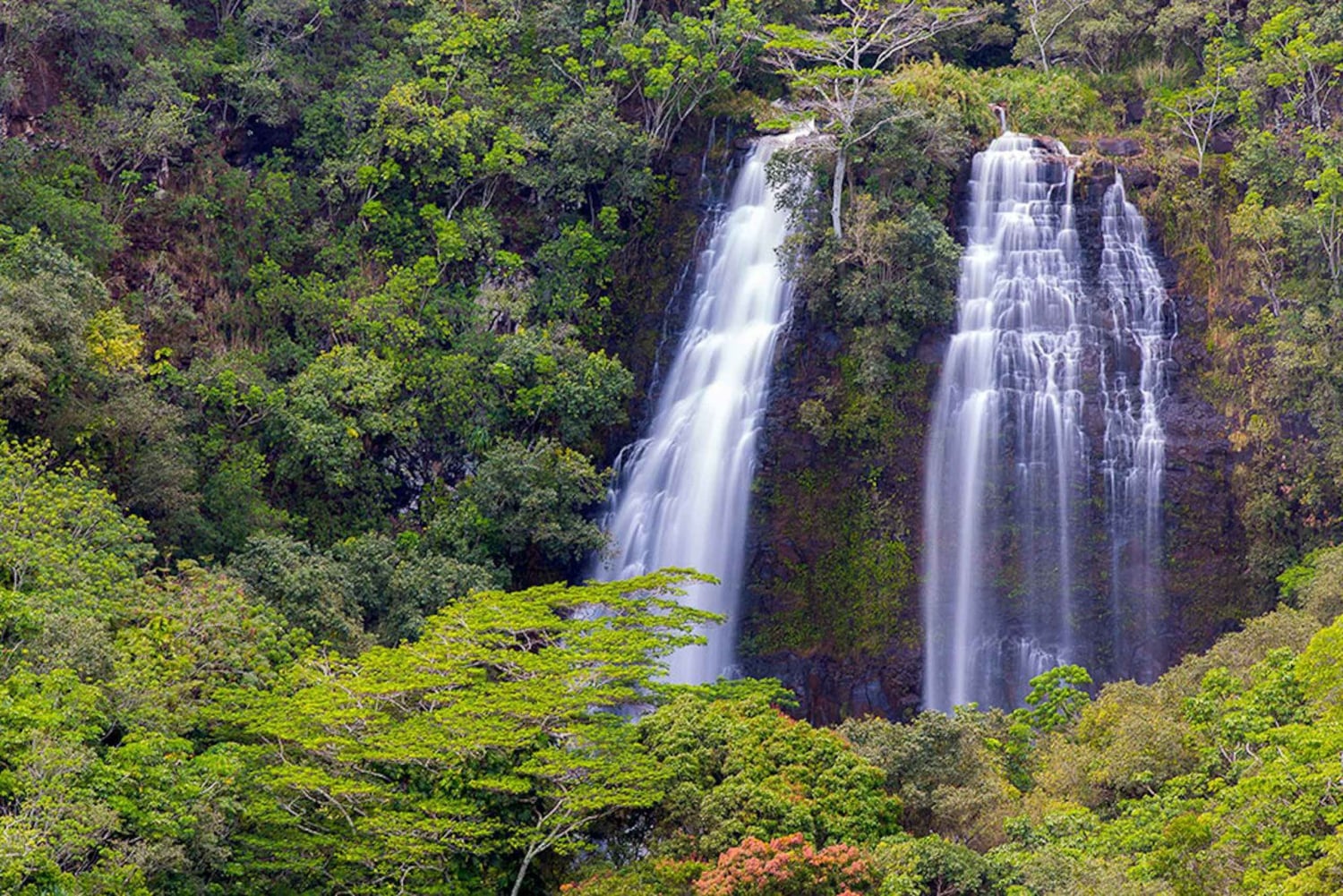 Kauai : Points forts et sites de cinéma