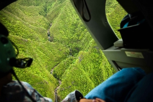Kauai: Island Highlights Helicopter Tour