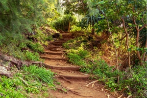 Kauai: Island Highlights Self-Guided Audio Driving Tour