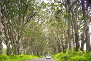 Kauai: Öns höjdpunkter Självguidad Audio Driving Tour
