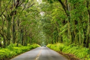 Kauai: Destaques da ilha: passeio de carro com áudio autoguiado
