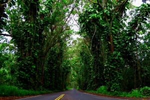 Kauai: Øyas høydepunkter - selvguidende audiokjøretur med guide