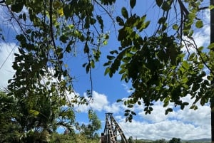 Kauai - Rejse til Waimea Canyon, Spouting Horn og meget mere