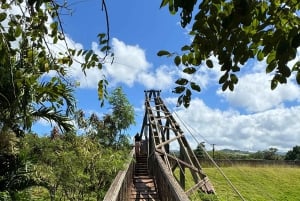 Kauai - Rejse til Waimea Canyon, Spouting Horn og meget mere