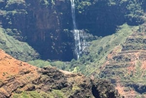 Kauai - Rejse til Waimea Canyon, Spouting Horn og meget mere