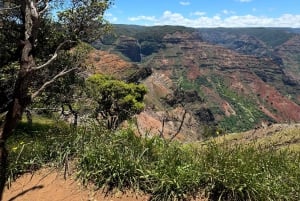 Kauai - Rejse til Waimea Canyon, Spouting Horn og meget mere