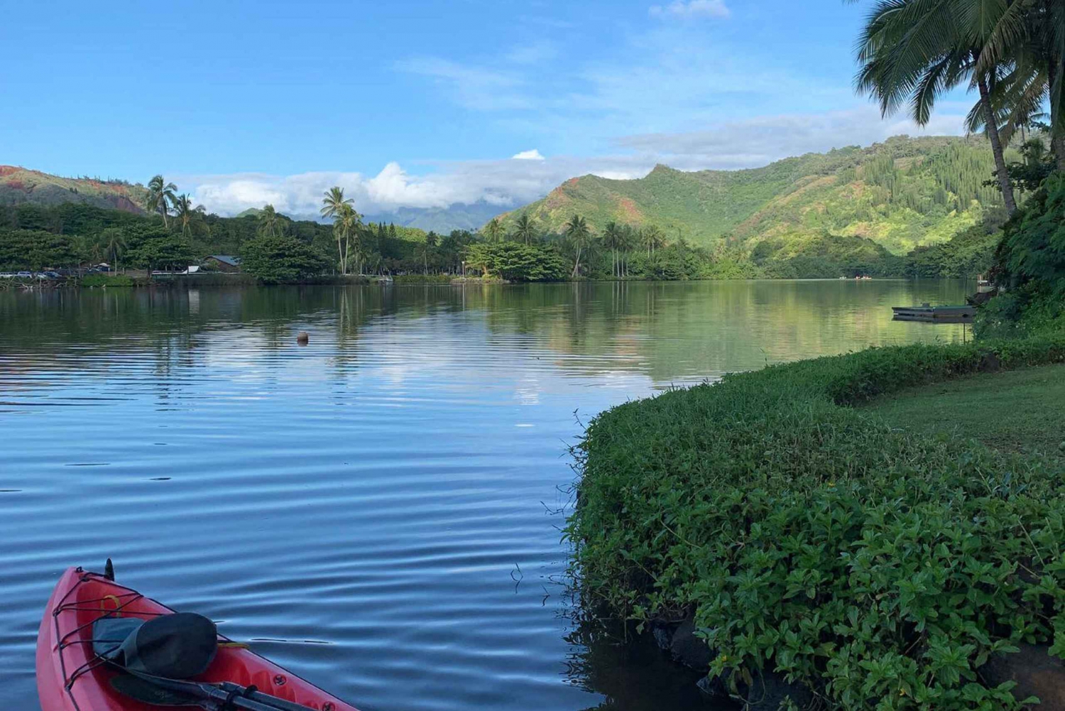 Kauai: Kajakudlejning Wailua River med vandretur til Secret Falls