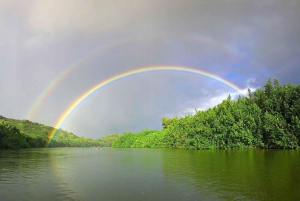 Kauai: Kajakudlejning Wailua River med vandretur til Secret Falls